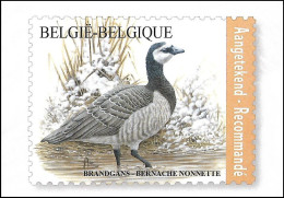 CM/MK** BLANCO - 4912 - Bernache Nonnette / Brandgans / Nonnengans / Barnacle Goose - BUZIN - 1985-.. Vögel (Buzin)