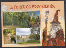 Forêt De Brocéliande Belle Carte Multivues Arbre D'Or Fontaine De Barenton Château De Comper - Other & Unclassified