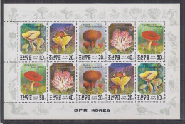 Korea 1991 Mushrooms Complete Souvenir Sheet MNH - Korea, North
