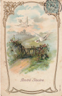 SO 26 - " AMITIE SINCERE " - CARTE FANTAISIE GAUFREE - DECOR CHAMPETRE AVEC COLOMBES ET MESSAGE- 2 SCANS - Other & Unclassified