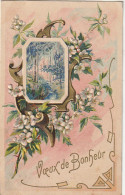 SO 28- " VOEUX DE BONHEUR " - CARTE FANTAISIE GAUFREE - MEDAILLON SOUS BOIS DANS DECOR FLORAL - 2 SCANS - Sonstige & Ohne Zuordnung