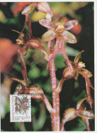 Maximum Card Greenland 1996 Orchid - Altri & Non Classificati