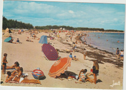 Finistère : ILE  TUDY : La  Plage - Ile Tudy