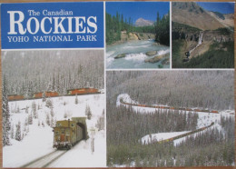 CANADA ROCKIES BANFF NATIONAL PARK SPRINGS HOTEL POSTCARD KARTE CARD CARTE POSTALE ANSICHTSKARTE POSTKARTE CARTOLINA - Granby