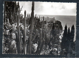 MONACO MONTECARLO LE ROCHER VU DU JARDIN EXOTIQUE CARD CARTOLINA UNUSED NUOVA - Giardino Esotico