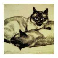 Chats, Cats, 1922 - Elizabeth Norton (American) 1887 - 1985 - CPM Double - Frais Du Site Déduits - Cats