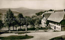 73722666 Giesshuebel Muenstertal Gasthaus Pension Am Schauinsland Schwarzwald Gi - Sonstige & Ohne Zuordnung