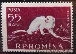 Rumänien 1957 Wildtiere Mi 1686/93° Gest. Nur Der Eine Säuger 1v Im Angebot - Usado