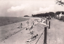 ILE DE RE LA FLOTTE LA GRANDE PLAGE - Ile De Ré