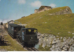 Austria Oostenrijk Schafberg - Gipfel - Trains