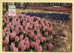 45. ORLEANS - Floralies Internationales - Avril à Octoble 1967 (voir Scan Recto/verso) - Orleans