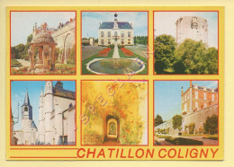 45. CHATILLON-COLIGNY - Multivues (voir Scan Recto/verso) - Chatillon Coligny