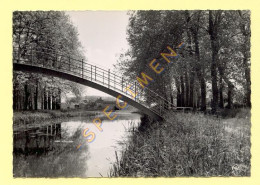 45. BRIARE - Les Bords Du Canal / CPSM (voir Scan Recto/verso) - Briare