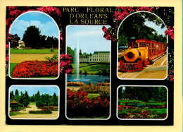 45. ORLEANS – Parc Floral De La Source / Multivues (voir Scan Recto/verso) - Orleans