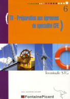 Comptabilité Et Finance D'Entreprise Terminale STG : TD Préparation Aux épreuves De Spécialité (2006) De Soph - 12-18 Anni