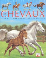 Les Chevaux. Pour Les Faire Connaître Aux Enfants (2003) De Emilie Beaumont - Dieren