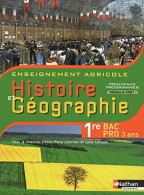 Histoire Et Géographie Première BAC Pro (2014) De Collectif - 12-18 Anni