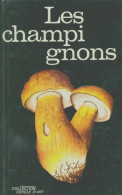 Les Champignons (1981) De Aurel Dermek - Natuur