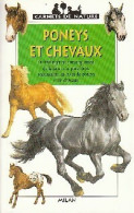 Poneys Et Chevaux (1998) De Gilles Delaborde - Animaux