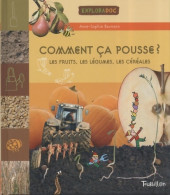 Comment ça Pousse ? (2007) De Anne-Sophie Baumann - Autres & Non Classés