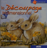 Le Découpage Tridimensionnel (2004) De G. Caserini - Reizen