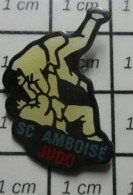 3417 Pin's Pins / Beau Et Rare / SPORTS / CLUB JUDO SC AMBOISE - Judo