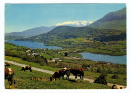 Les Lacs De Laffrey Et La Chaîne De Belledonne - Laffrey