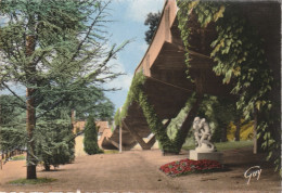 ISSY LES MOULINEAUX . - Le Grand Escalier , Parc Henri Barbusse. CPSM - Issy Les Moulineaux