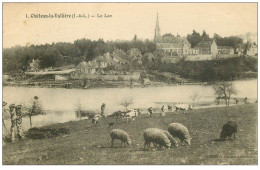 37 CHATEAU-LA-VALLIERE. Le Lac Bergère Et Moutons 1924 - Other & Unclassified