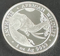 Somalia 100 Shillings 2023 (silver) Elephant - Somalia