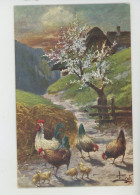 OISEAUX - Jolie Carte Fantaisie Coq Et Poules Avec Poussins Dans Basse Cour Au Printemps (signée) - H.H. I. W Série 892 - Oiseaux