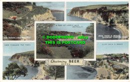 R550812 Charming Beer Devon. The Beach. Looking East. E. T. W. Dennis. Multi Vie - World