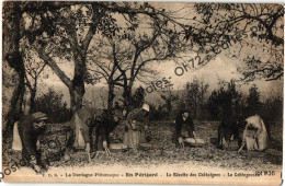 CPA [24] Dordogne > En Périgord - La Récolte Des Châtaignes - Lo Cohtognosou - Autres & Non Classés