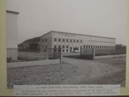 Foto Album Inaugurazione Latteria Agricola MARMIROLO (Mantova). Ministro Agricoltura Natali 13 Giugno 1971. - Europe