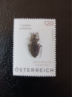 Austria 2024 Autriche Insect Pit Beetles Carabus Nodulosus Escarabajos 1v Mnh - Nuevos