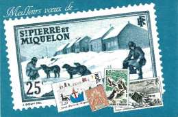 *CPM  - 975 - SAINT PIERRE ET MIQUELON - Carte Entier Postal - Bonne Année 1991 - Général De Gaulle - Saint Pierre And Miquelon