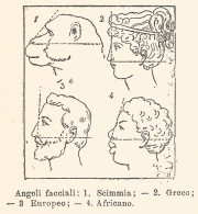 Angoli Facciali - Xilografia D'epoca - 1924 Old Engraving - Estampas & Grabados
