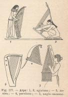 Varietà Di Arpe - Xilografia D'epoca - 1924 Old Engraving - Estampas & Grabados