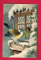 AF256 OISEAUX MESANGE A LA FENETRE EN1906 HIVER NEIGE CARTE GAUFREE - Uccelli