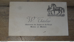 Carte De Visite, W THEOLIER, Chevaux De Luxe, Mules Et Mulets ........... PHI ..... E1-5 - Cartes De Visite