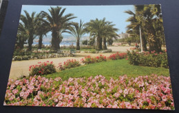 Cannes - Une Partie Des Jardins Fleuris De La Croisette - Editions D'Art ALTARI, Nice - Cannes