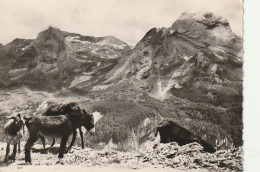 TE 13-(64) COL D' AUBISQUE - ROUTE THERMALE D' ARGELES A EAUX BONNES -  ANES , MULES- 2 SCANS - Other & Unclassified