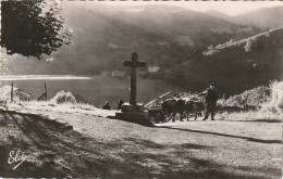 TE 13-(64) PAYS BASQUE - LA CROIX DU CHEMIN - PAYSAN ET ATTELAGE DE BOEUFS - 2 SCANS - Other & Unclassified