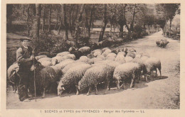 TE 14 - SCENES ET TYPES DES PYRENEES  - BERGER DES PYRENEES - TROUPEAU DE MOUTONS  - 2 SCANS - Autres & Non Classés