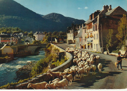 TE 15-(65) LES BORDS DE LA NESTE A ARREAU - RETOUR DES MOUTONS DANS LA VALLEE - CARTE COULEURS - 2 SCANS - Altri & Non Classificati