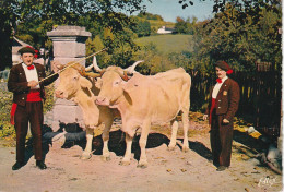 TE 15-(65) FOLKLORE BIGOURDAN - LES " CHANTEURS MONTAGNARDS " DE LOURDES - ATTELAGE LOURDAISES - 2 SCANS - Lourdes