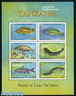 Tanzania 2006 Fish Of Lake Victoria 6v M/s, Mint NH, Nature - Fish - Fishes