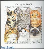 Tanzania 1999 Cats 6v M/s, European Shorthair, Mint NH, Nature - Cats - Tanzania (1964-...)