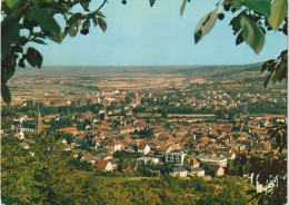 TE 20-(67) MUTZIG - VUE GENERALE , DANS LE FOND LA PLAINE D' ALSACE - CARTE COULEURS - 2 SCANS - Mutzig