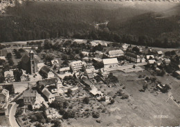 TE 20-(67) VUE AERIENNE SUR WANGENBOURG - PHOTO AERIENNE CARABIN - 2 SCANS - Sonstige & Ohne Zuordnung